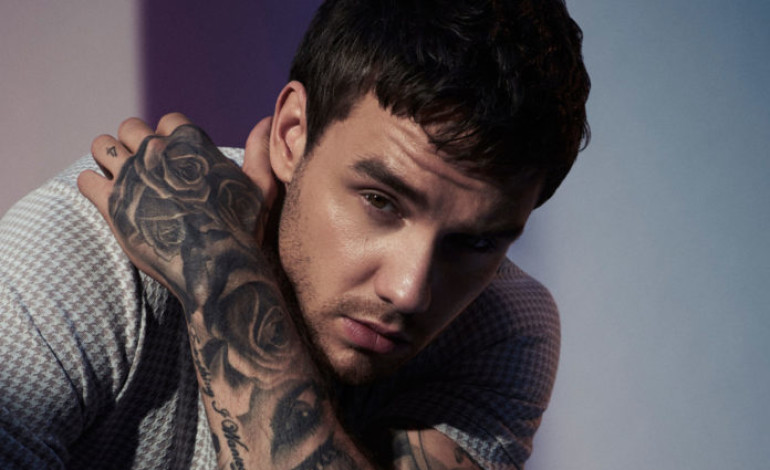 Liam Payne Set To Release New Single for Animated Film