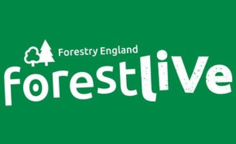 Forest Live 2020 Cancelled Due to Coronavirus