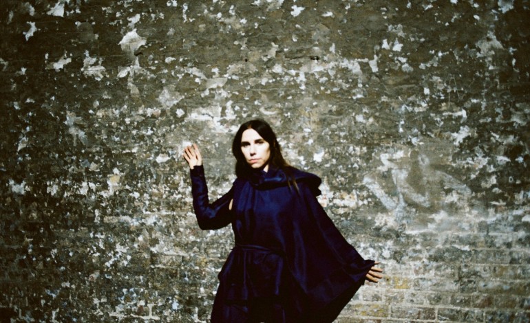 PJ Harvey’s Entire Discography to be Reissued (NSFW)