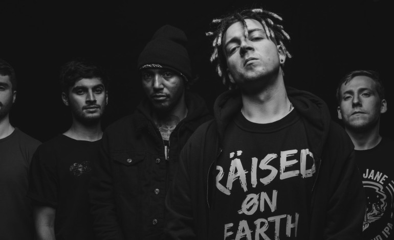 Hacktivist Tease New Material Coming Soon