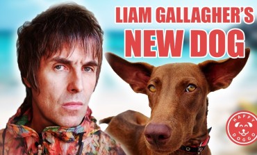 Speculation of Liam Gallagher Prioritising New Puppy Over Tour Plans