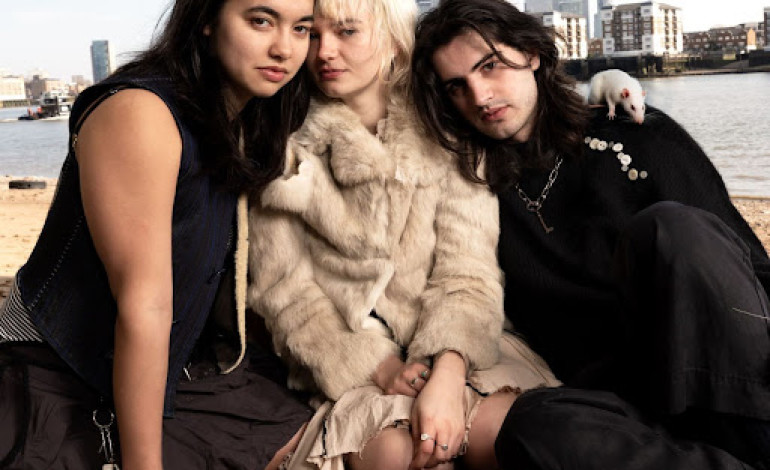 Mary In The Junkyard Release Gritty New Single ‘Drains’