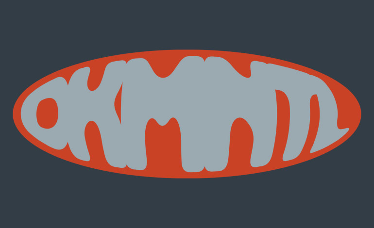 Dekmantel Announce Their 2026 Lineup