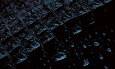 Wage War Announce EP, Deliver Crushing New Track 'Song Of The Swamp’