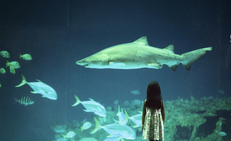 Bring Me The Horizon To Reissue ‘Count Your Blessings’ And Play It Live In Full For 20th Anniversary