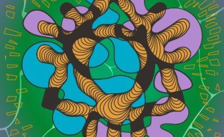 Boomtown Festival Cleared To Run Until 2030 Amidst Pressure